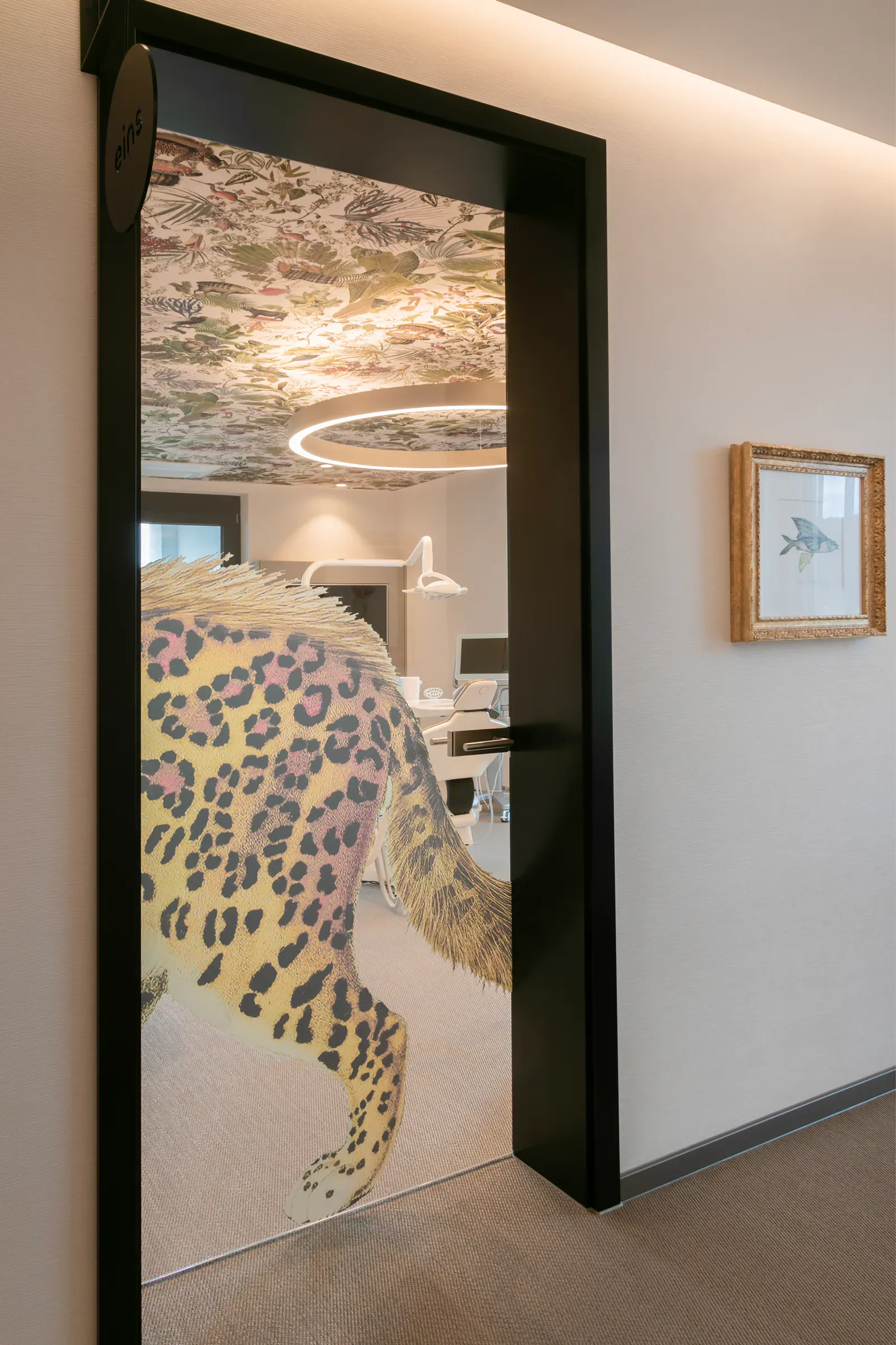 Kieferorthopädie Marburg Projektbild