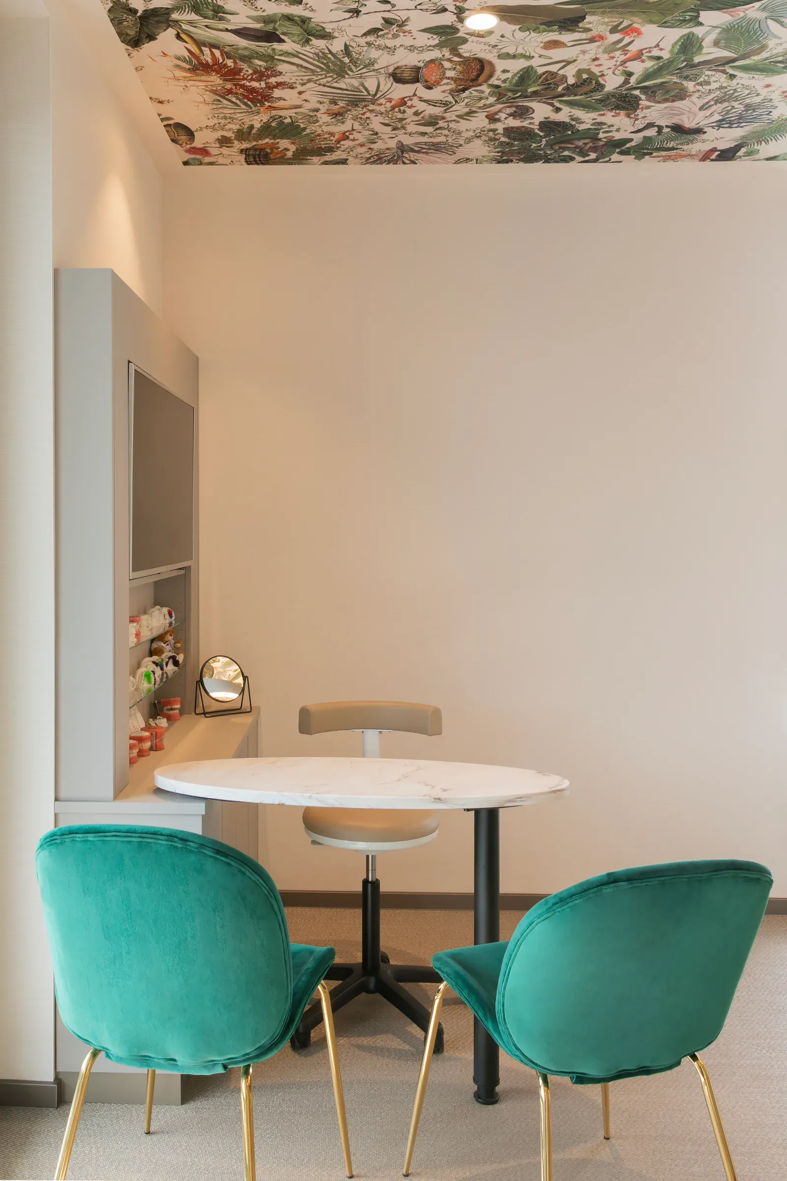 Kieferorthopädie Marburg Projektbild
