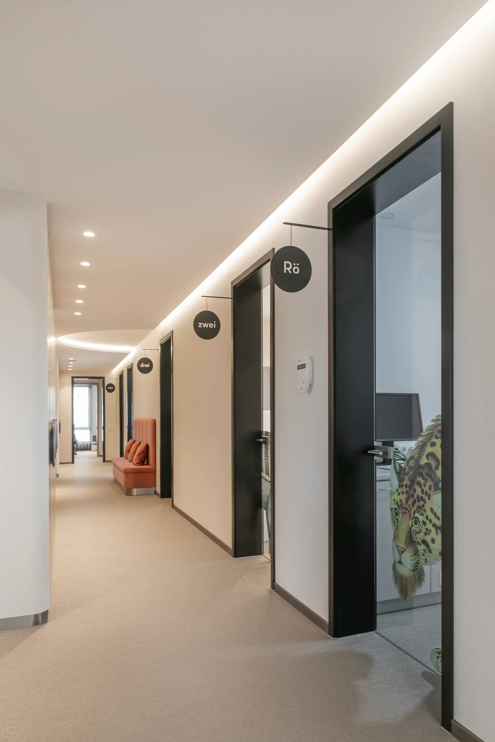 Kieferorthopädie Marburg Projektbild