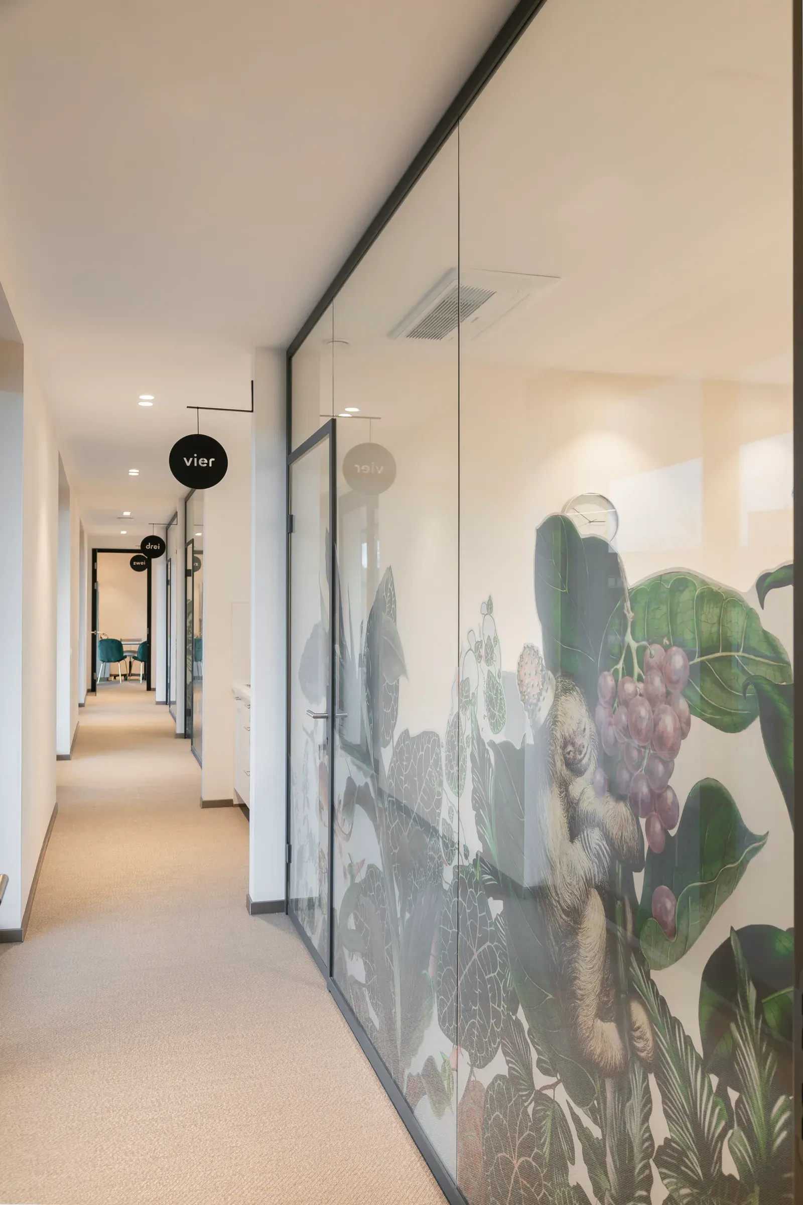 Kieferorthopädie Marburg Projektbild
